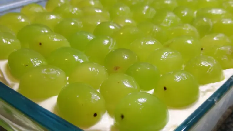 Cheesecake uden husblas: nem opskrift med sprød havregrynsbund