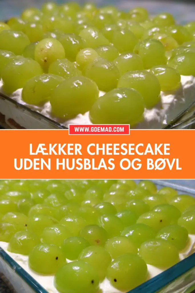 Cheesecake uden husblas: nem opskrift med sprød havregrynsbund