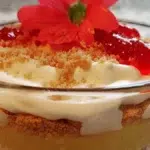 Æblekage: den bedste gammeldags opskrift med rasp og flødeskum 