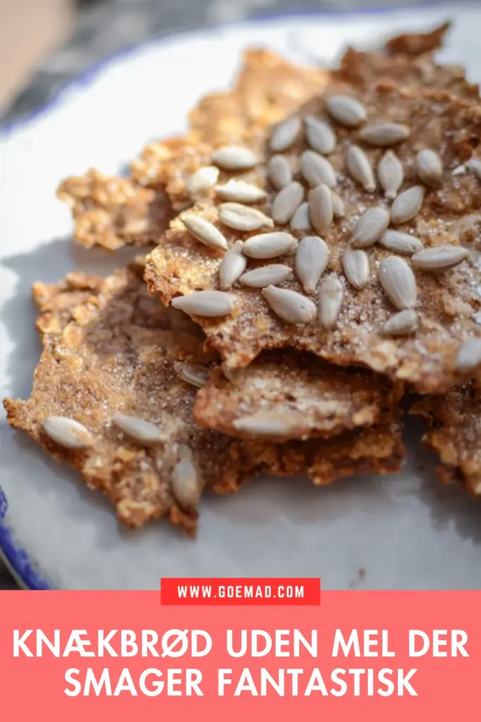 prødt knækbrød uden mel lavet på havregrød: den bedste opskrift