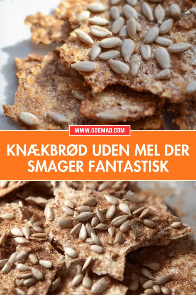 prødt knækbrød uden mel lavet på havregrød: den bedste opskrift