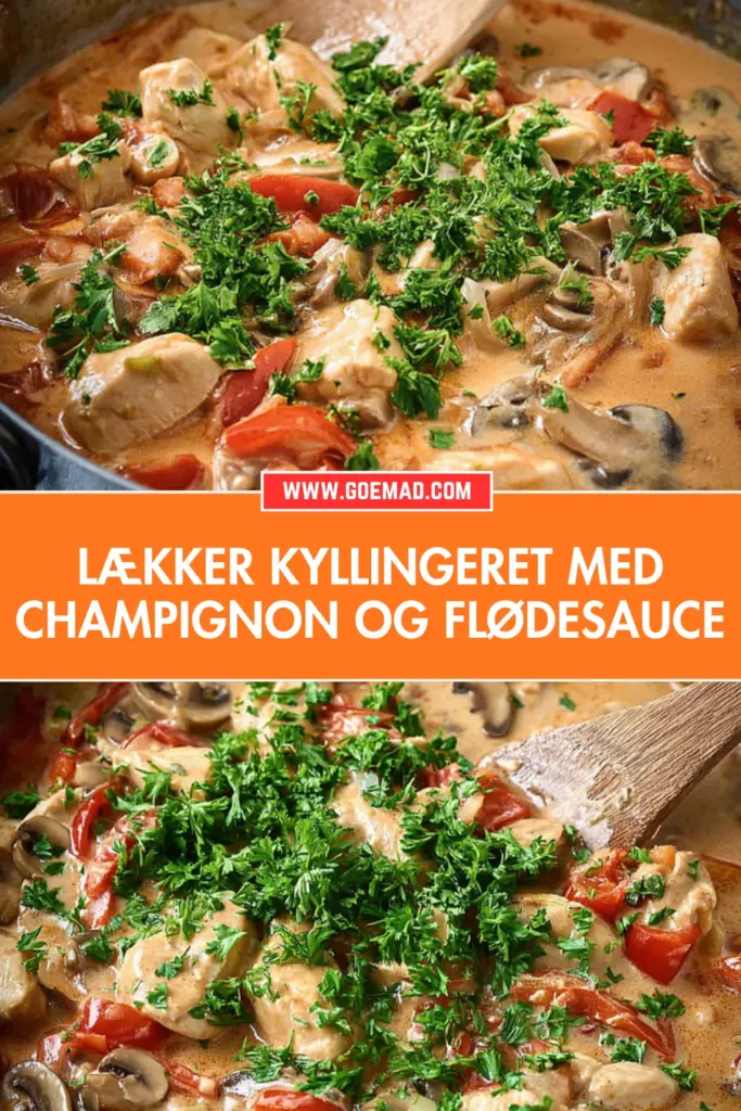 Lækker kyllingeret med champignon: nem opskrift med cremet flødesauce
