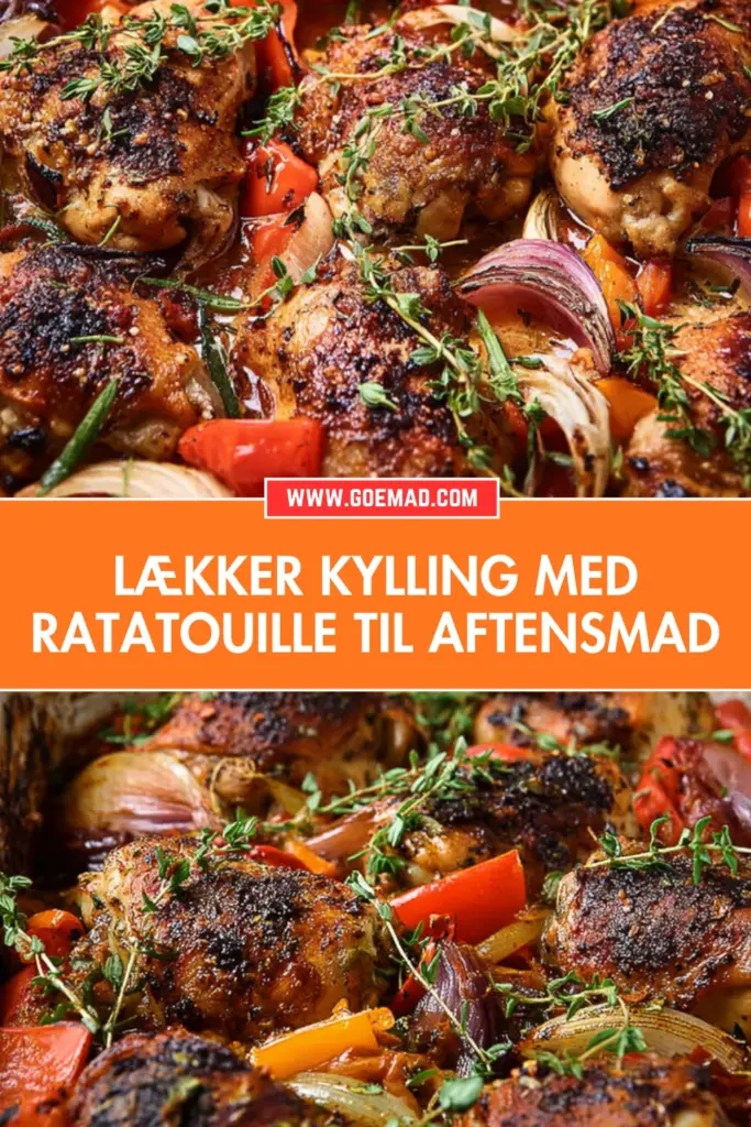 Saftig kylling med ratatouille: den bedste opskrift til en klassisk ovnsret