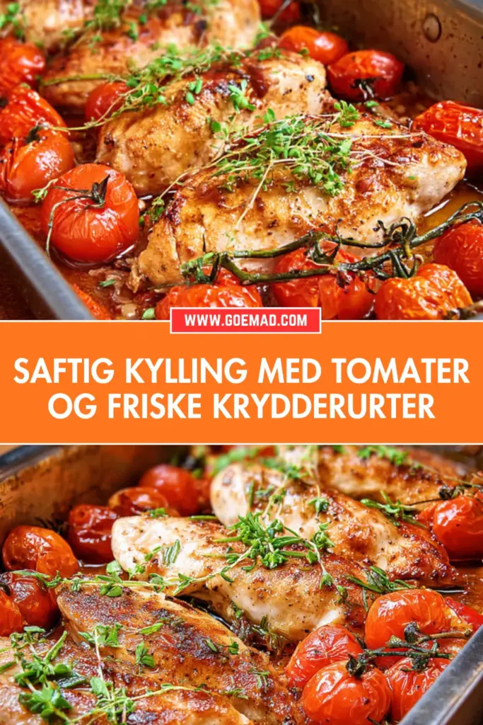 Kylling med tomater i ovnen: nem opskrift med marinade og friske krydderurter