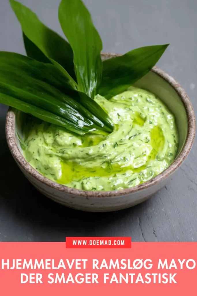 Hjemmelavet ramsløg mayo: den bedste opskrift med vilde blade