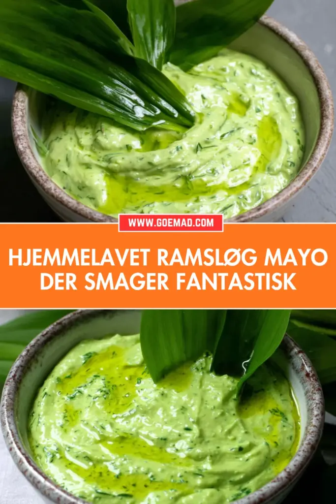 Hjemmelavet ramsløg mayo: den bedste opskrift med vilde blade