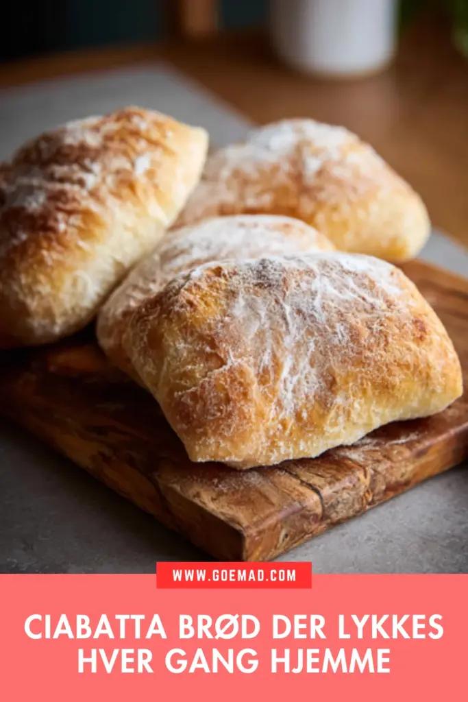 Ciabatta brød med sprød skorpe og store luftbobler: nem opskrift til hjemmebageren
