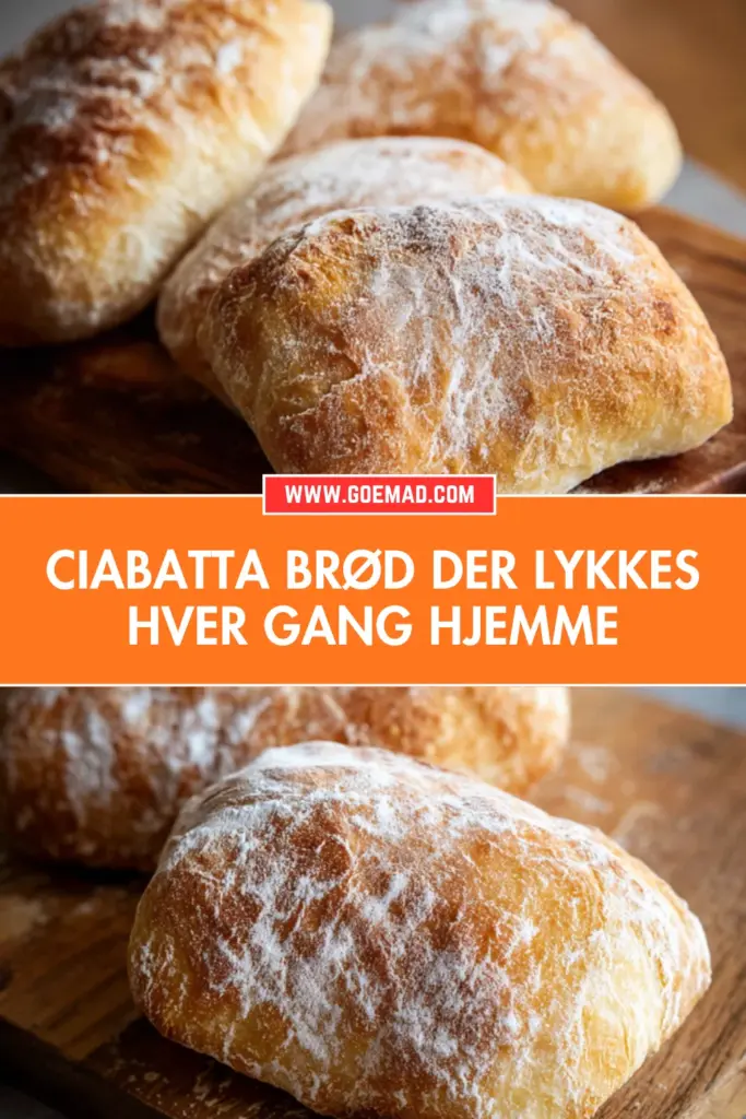Ciabatta brød med sprød skorpe og store luftbobler: nem opskrift til hjemmebageren